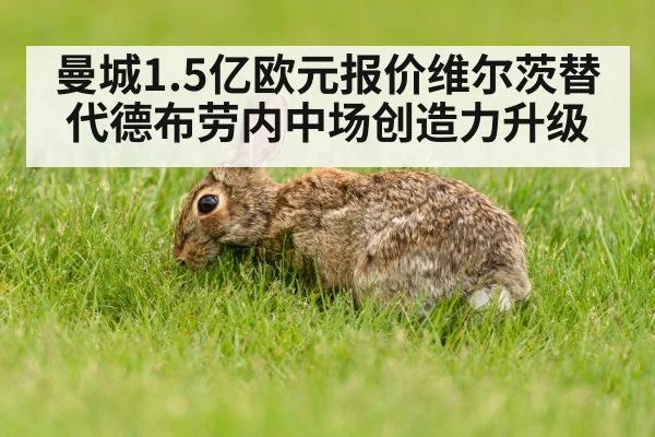 曼城1.5亿欧元报价维尔茨替代德布劳内中场创造力升级